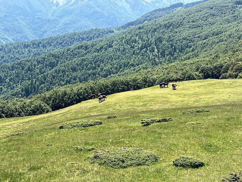 Pohled na Andrijevicu