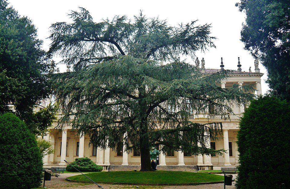 Fasáda Palazzo Chiericati s dvojitou sloupovou loggií