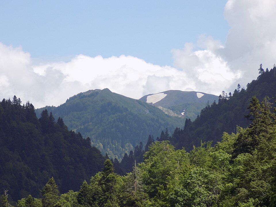 Biogradské jezero obklopené lesem