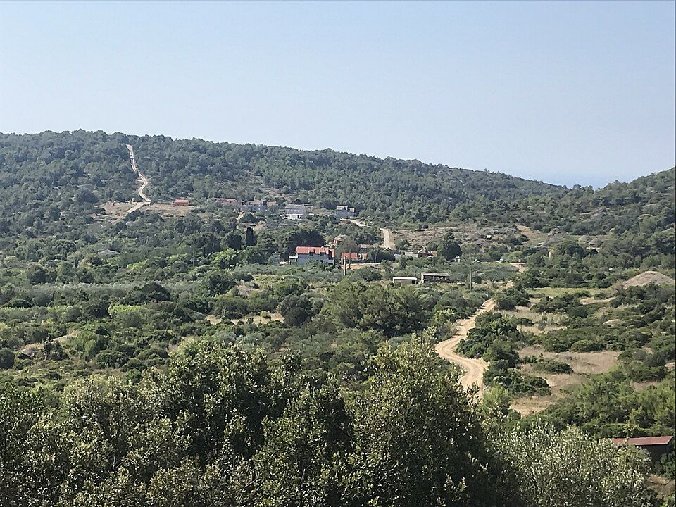 Vinice v Dračevu polju na Visu