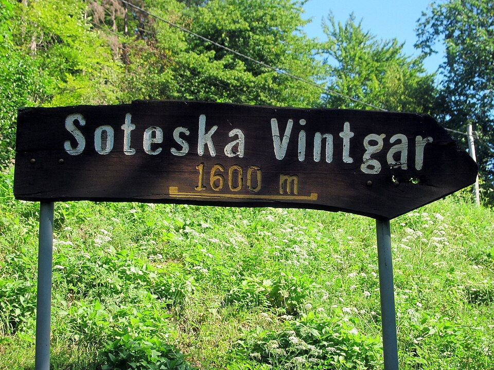 Soutěska Vintgar s úzkými vápencovými stěnami a zelenou vodou