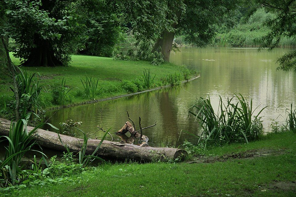 Zelený Vondelpark v Amsterdamu s návštěvníky odpočívajícími v trávě