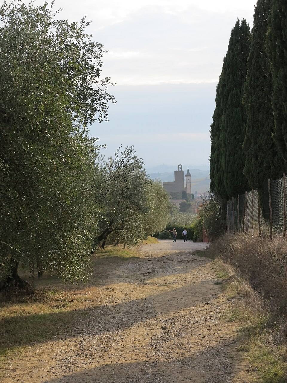 Panorama Vinci s hradní věží nad krajinou
