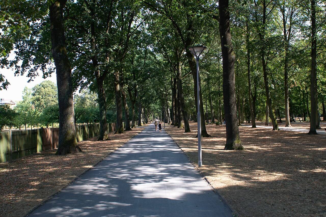 Zámecký park Hofgarten v Bayreuthu s vodní plochou a stromy