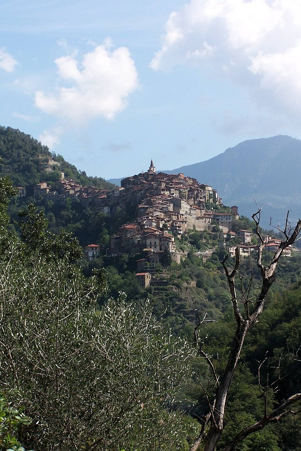 Celkový pohled na vesnici Apricale ve svahu