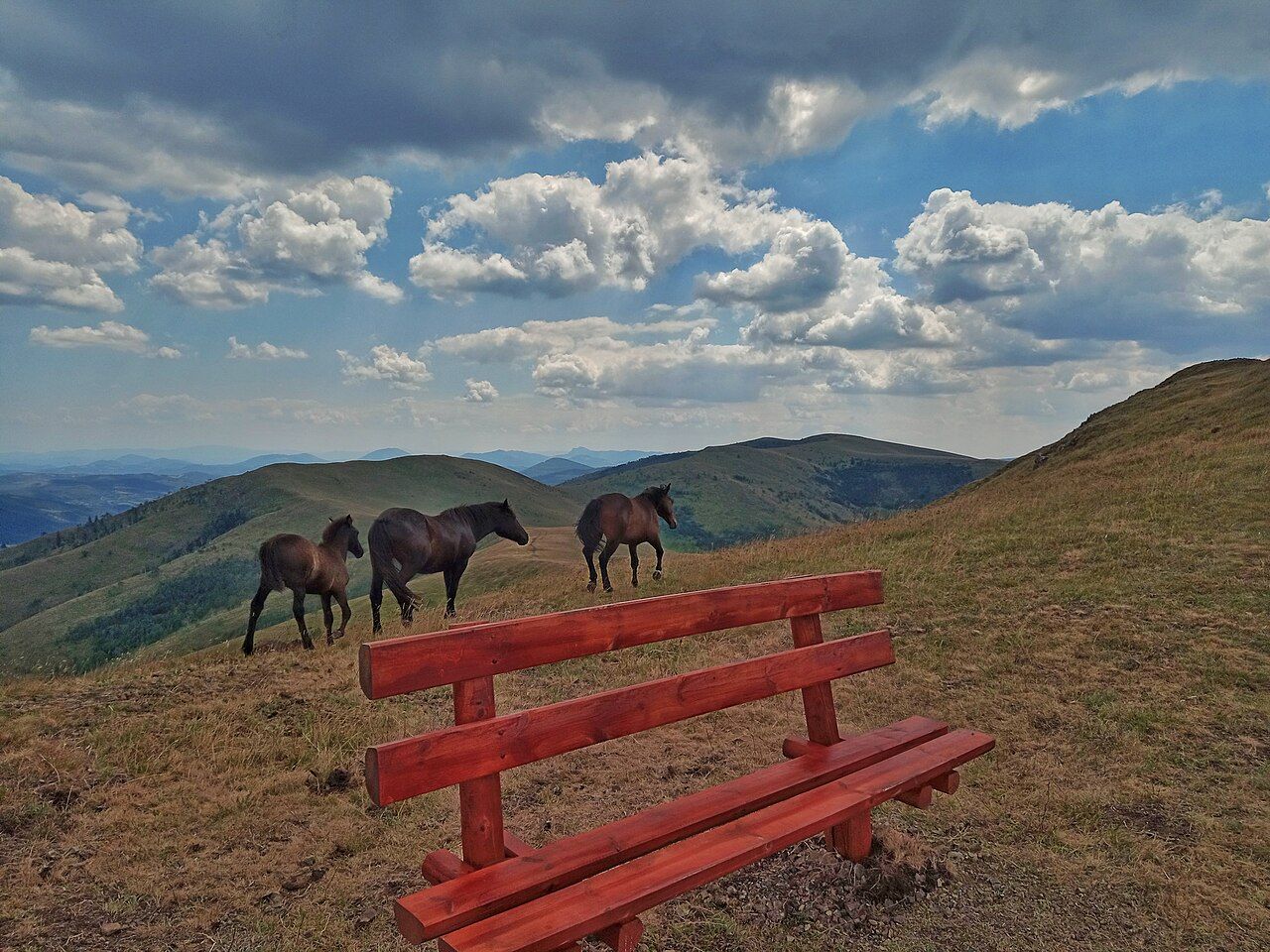 Pohoří Zlatibor v západním Srbsku
