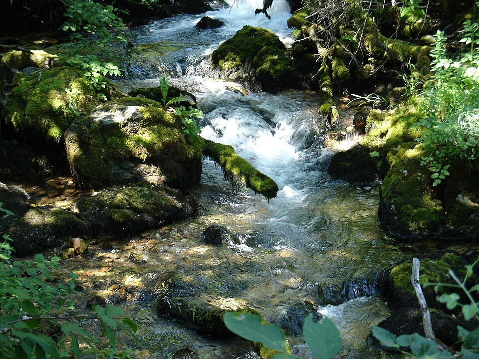 Vevčanské prameny (Vevčanski izvori)