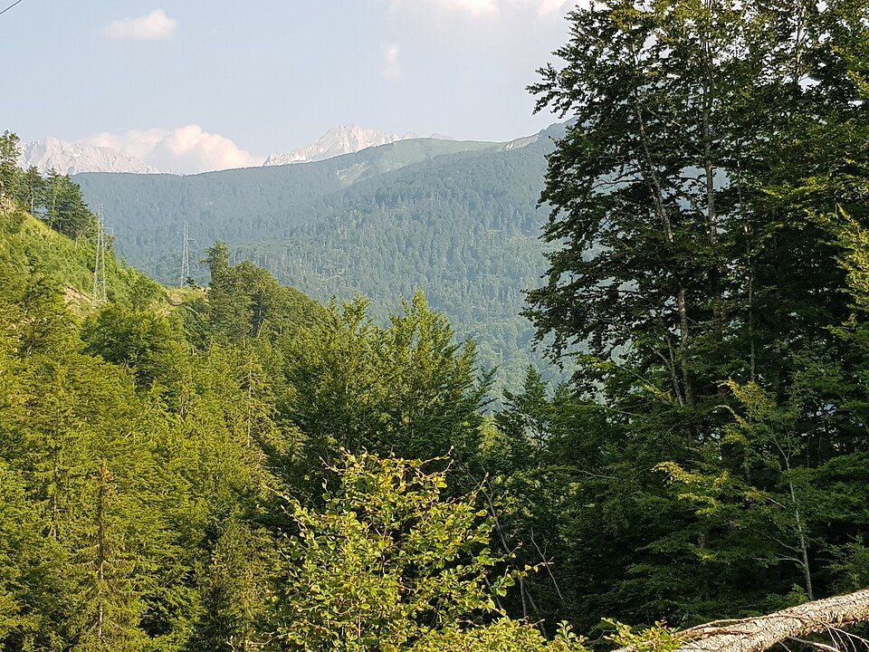 Krajina mezi Berane a Plavem