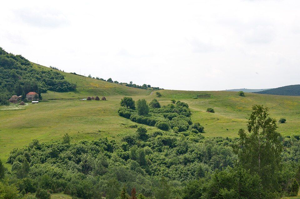 Kaňon Uvac, domov supů