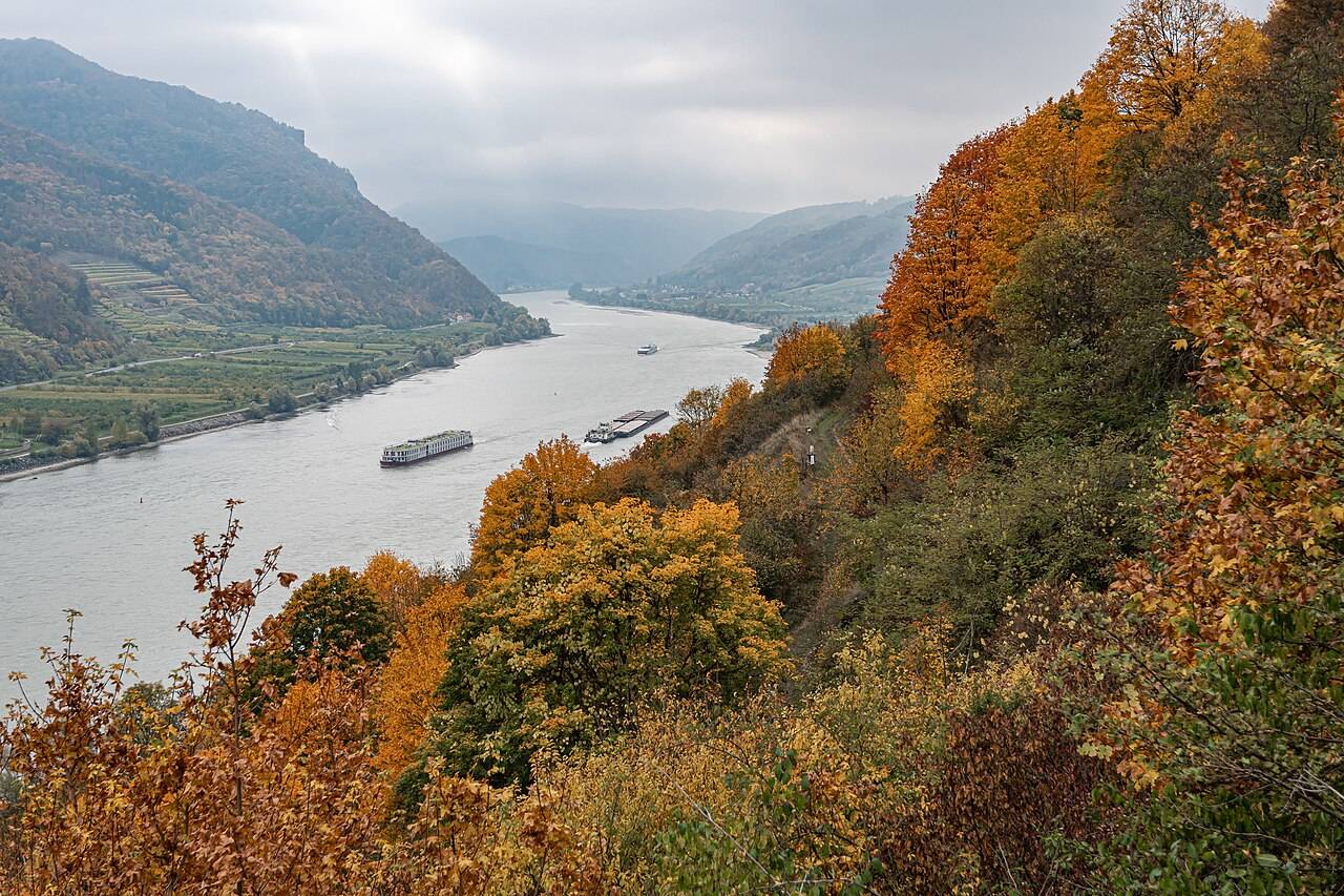 Vinice na terasách nad Dunajem v údolí Wachau u Spitz