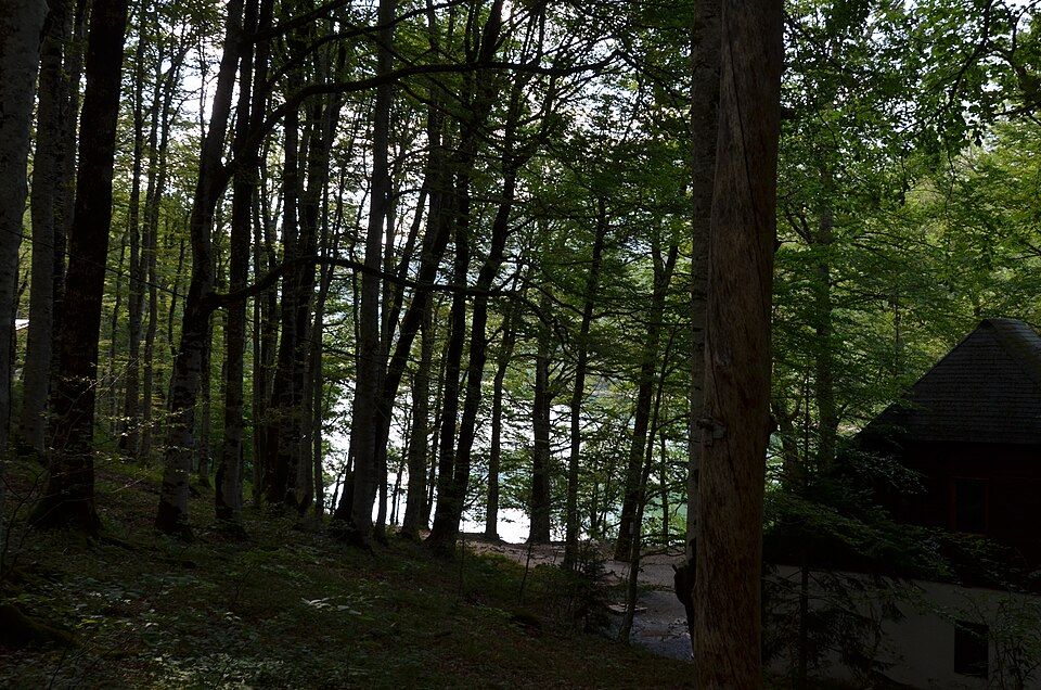 Krajina národního parku Biogradska Gora