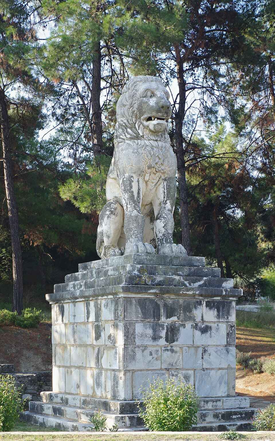 Lev z Amfipole