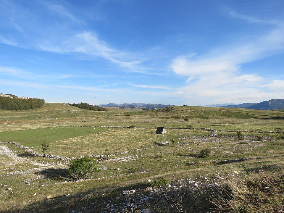 Pastviny jižně od Žabljaku
