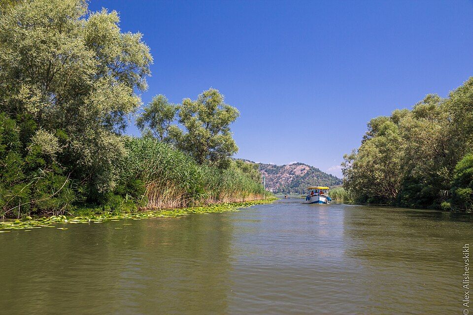 Skadarské jezero z Virpazaru