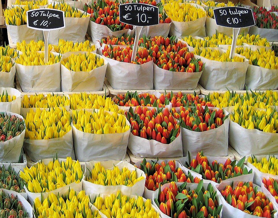Plovoucí květinový trh Bloemenmarkt na amsterdamském kanálu Singel
