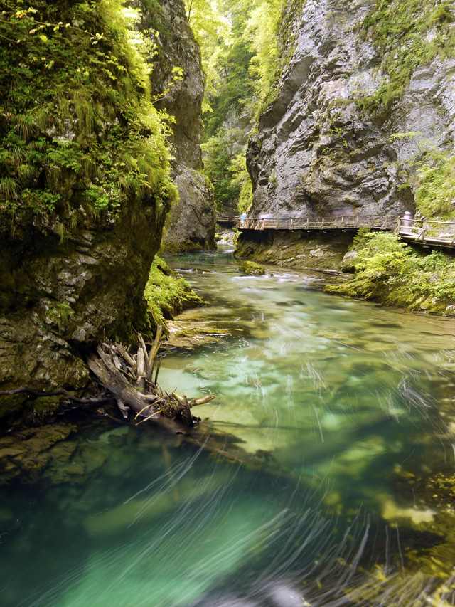 Soutěska Vintgar: 1,6 km lávek nad divokou Radovnou u Bledu