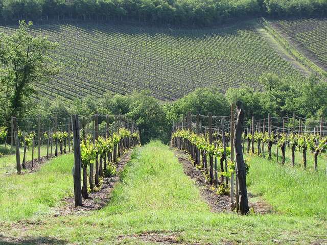 Radda in Chianti: středověká fortezza, vínný průkaz a srdce Chianti Classico