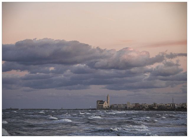 Trani: katedrála přímo u moře a apulské Atény, která nehlásí turisty