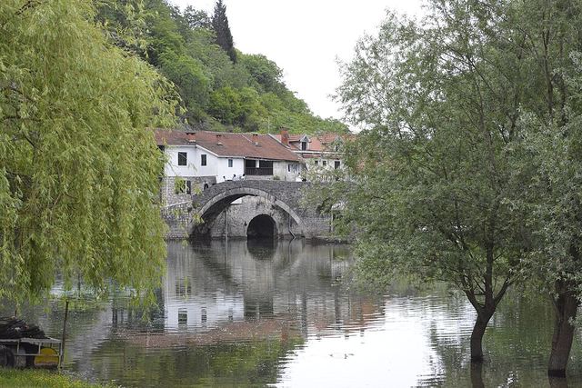 Skadarské jezero autem: největší jezero Balkánu, pelikáni, lekníny a zatáčka, kterou znáte z fotek