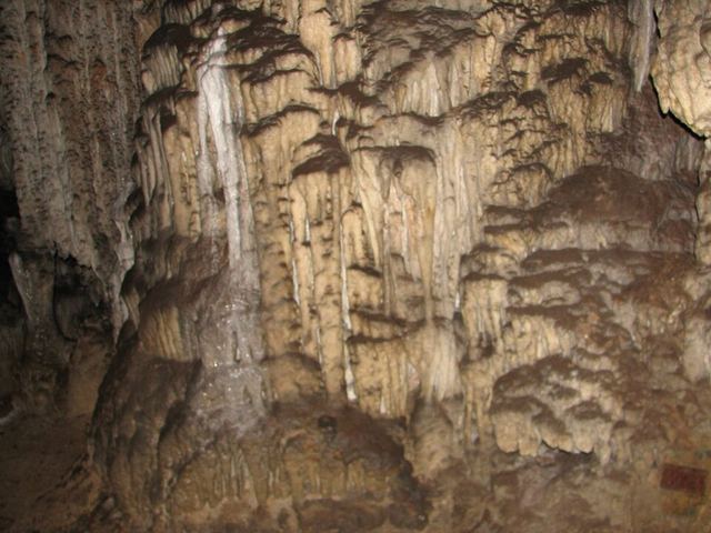 Postojnská jeskyně: vláček do podzemí, lidská rybka a hrad ve skále