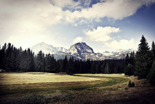 Durmitor a sever Černé Hory autem: nejhlubší kaňon Evropy, černé jezero a serpentiny, po kterých se nedýchá