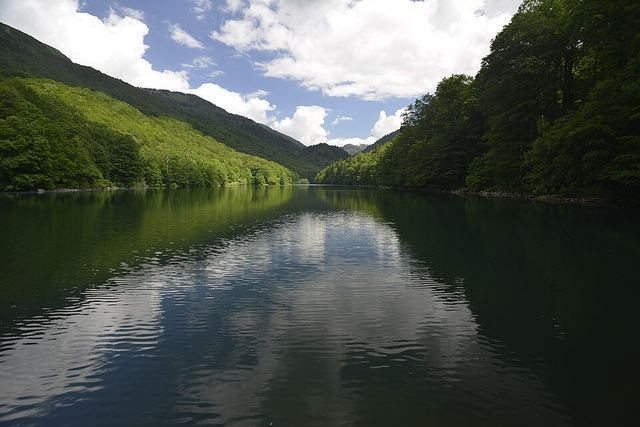 Biogradska Gora: prales, ledovcové jezero a nejtišší kout Černé Hory