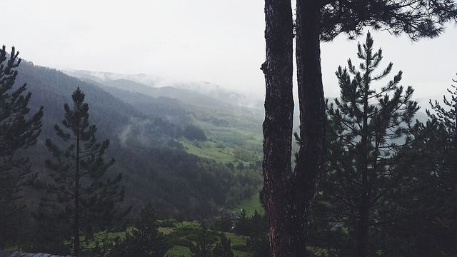 Šarganská osmička: horská úzkokolejka ve tvaru osmičky u Mokré Gory