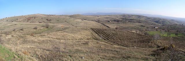 Veles: město na strmých svazích nad řekou Vardar