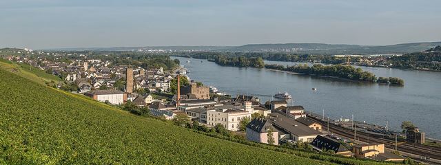 Rüdesheim a Loreley: nejromantičtější úsek Rýna, vinice, lanovka a skála s pověstí