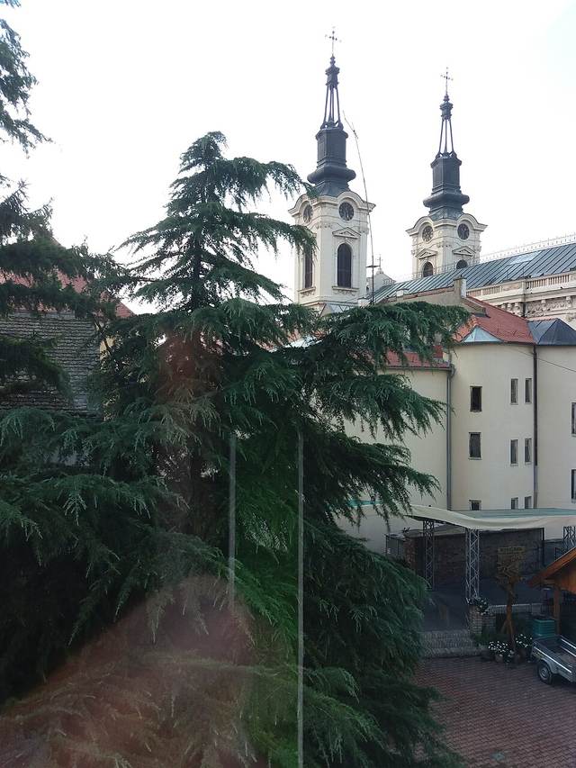 Sremski Karlovci: barokní město, srbské gymnázium a víno bermet