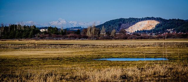 Cerknické jezero: slovinské jezero, které jednou za rok zmizí