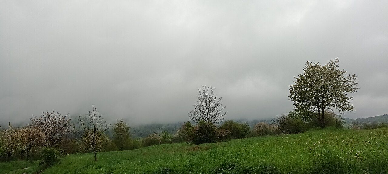 Krajina Šumavy — les a louka, typické místo, kde láká přespat pod širákem