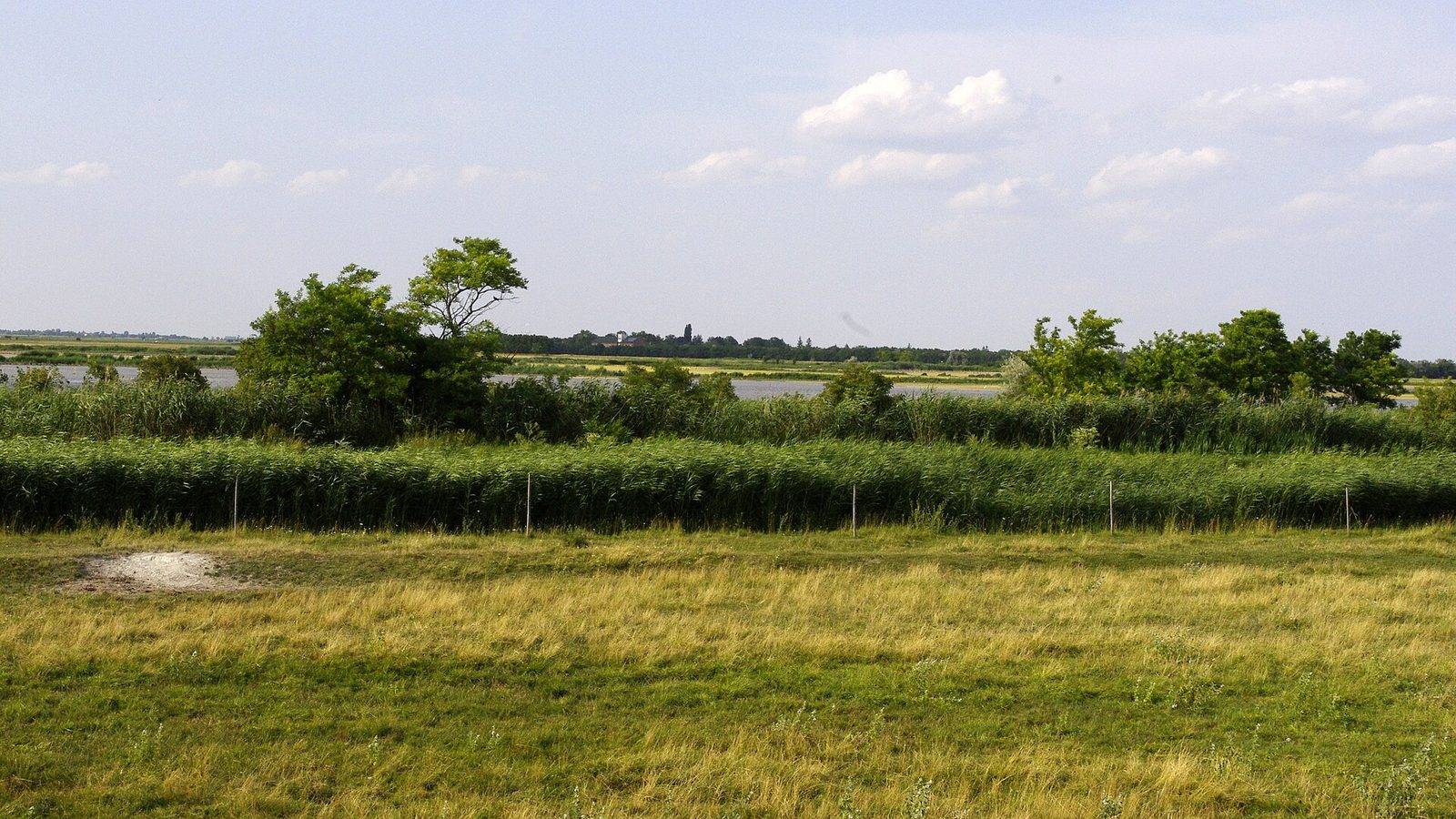 Chráněná mokřadní krajina národního parku Fertő-Hanság